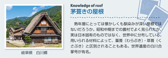 茅葺きの屋根(岐阜県 白川郷)