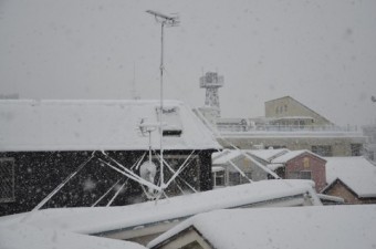 雪が屋根に積もってしまった住居の数々