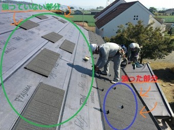 エコグラ―ニを張った部分と張っていない部分