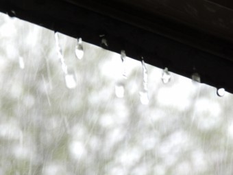 滴る雨水