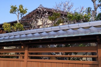 銀色に輝くいぶし瓦