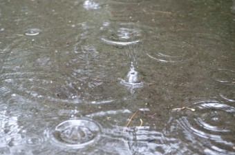 降りしきる雨