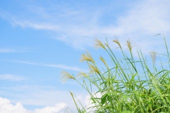 秋の空と