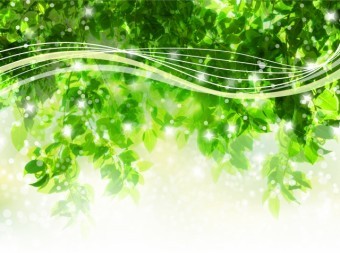 木の間を通り抜ける爽やかな風
