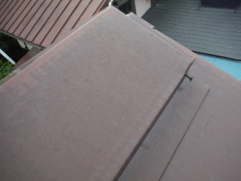 浮いてしまった板金屋根の釘