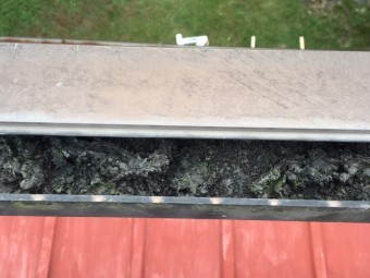 落ち葉や土が詰まった雨樋