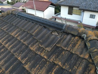 苔が生え、瓦1枚がずれてしまった瓦屋根