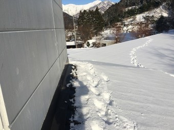 雪が積もった屋根の上