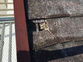 欠けてなくなっている状態の屋根材