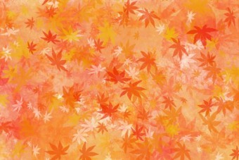 一面に広がる紅に染まったモミジの葉