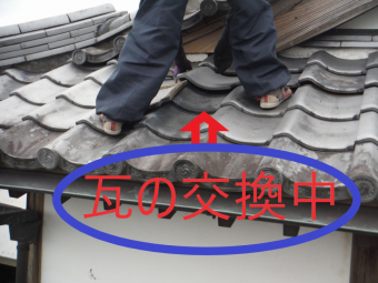 新しい瓦を差し込んでいる瓦屋さん