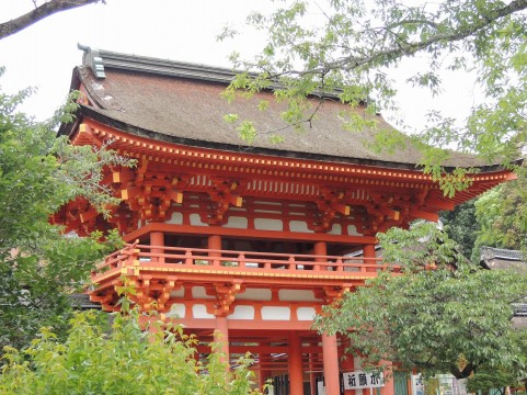 反り屋根工法を採用した神社の写真