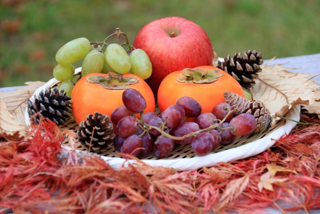 秋に収穫できる食べ物